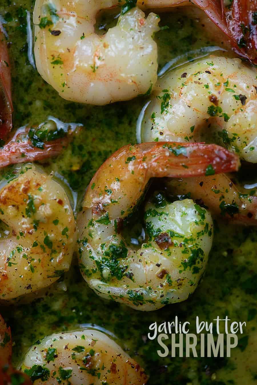 Lemon garlic butter shrimp! This recipe takes about 20 minutes and it's perfect over pasta or zoodles. 