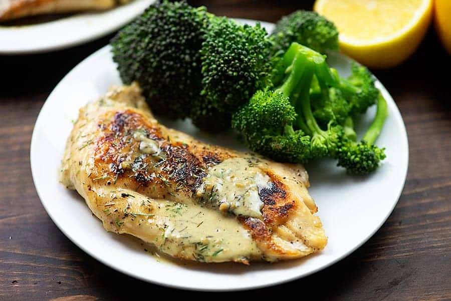 creamy lemon chicken on white plate