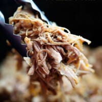metal tongs with shredded pulled pork