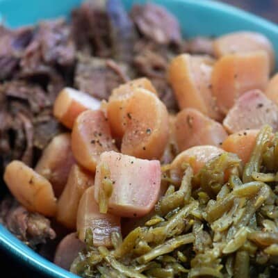 pot roast, radishes, and green beans in a blue bowl