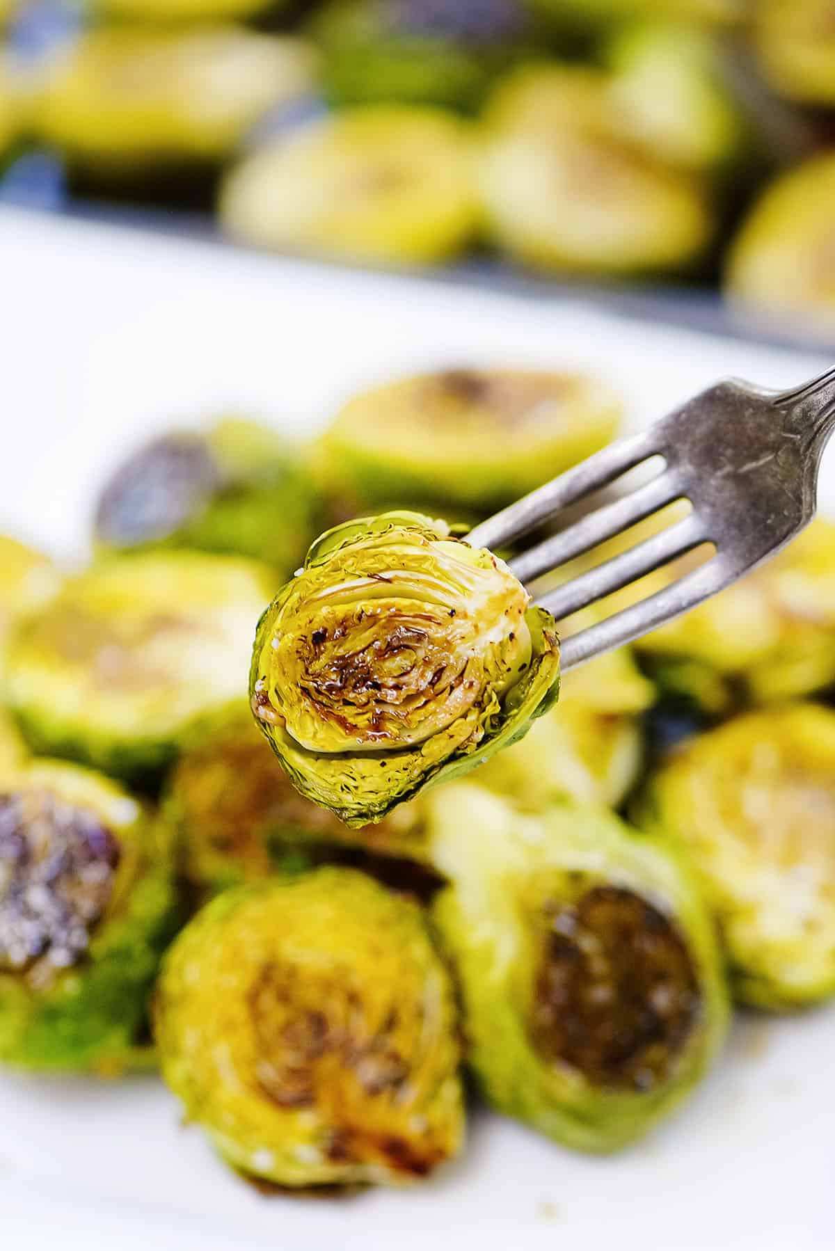 Roasted brussels sprout on fork.