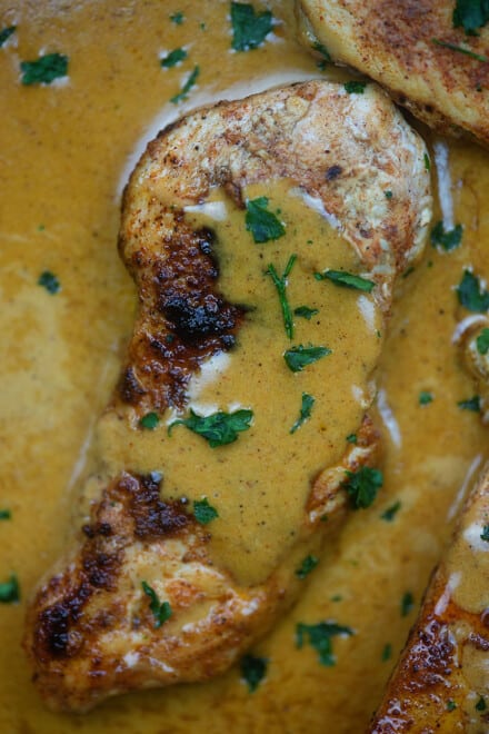 The BEST Low Carb Chicken Recipes All In One Spot!