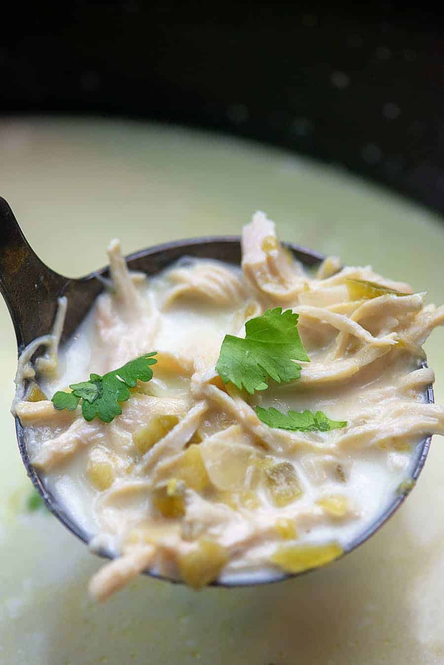 laddle of chicken soup in a slow cooker