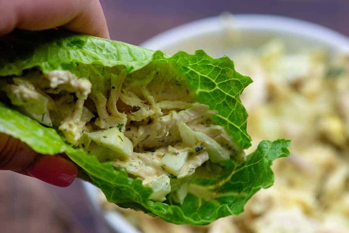 lettuce wrap chicken salad