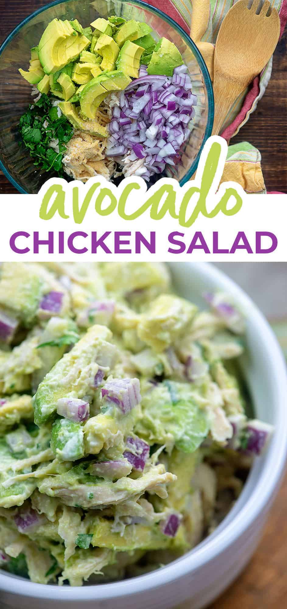 The BEST Avocado Chicken Salad!