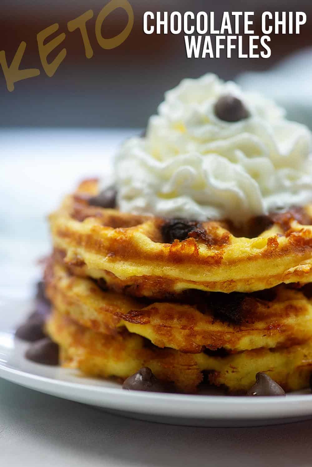 3 low carb chocolate chip waffles