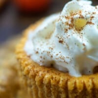 A close up of pumpkin cheesecake bites with a whipped cream topping.