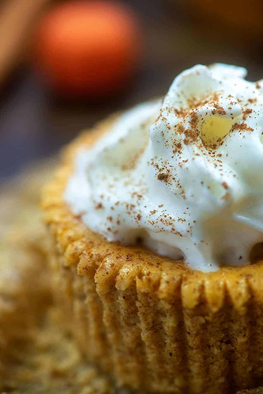 A close up of pumpkin cheesecake bites with a whipped cream topping.