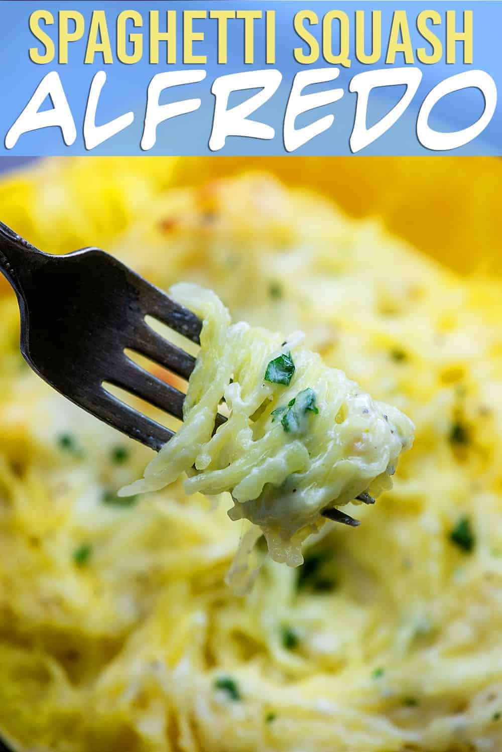 fork with spun spaghetti squash