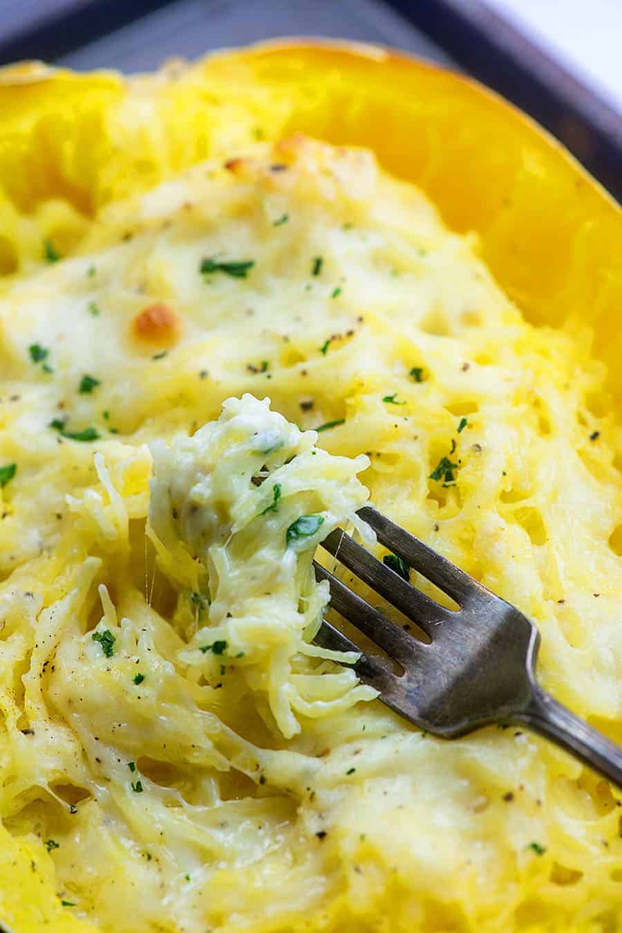 fork scooping spaghetti squash and alfredo