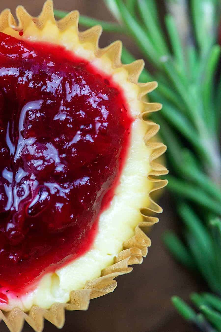 A close up of a mini cheesecake topped with cranberries