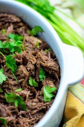slow cooker shredded beef with cilantro in white dish