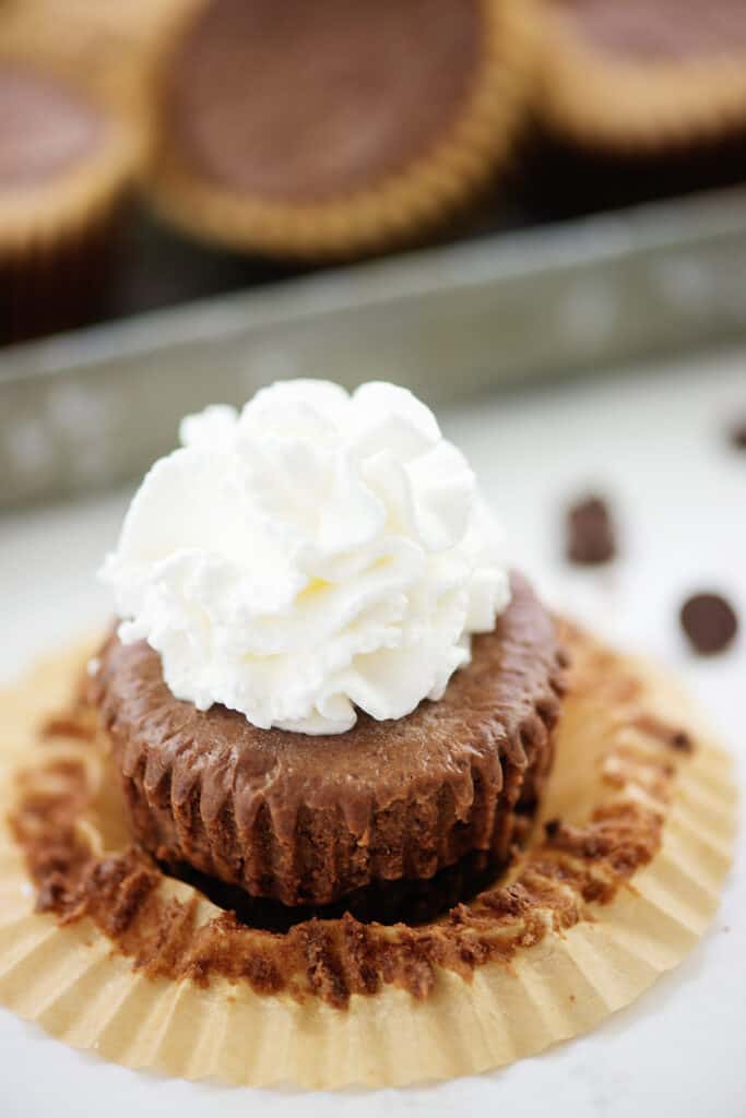 mini chocolate cheesecake topped with whipped cream.