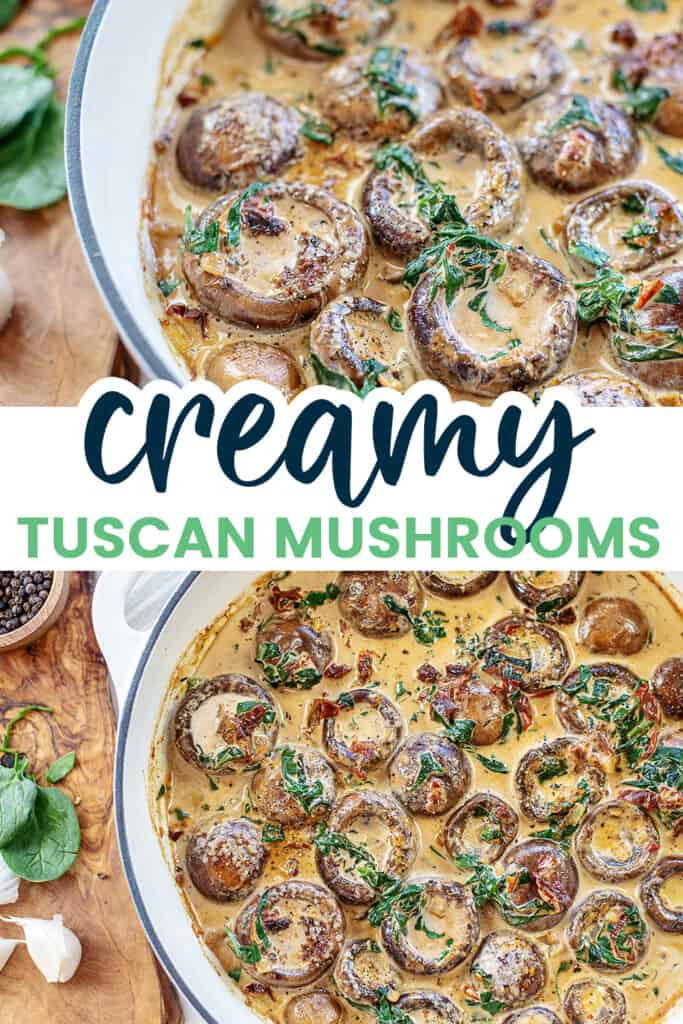 collage of Tuscan mushroom images.