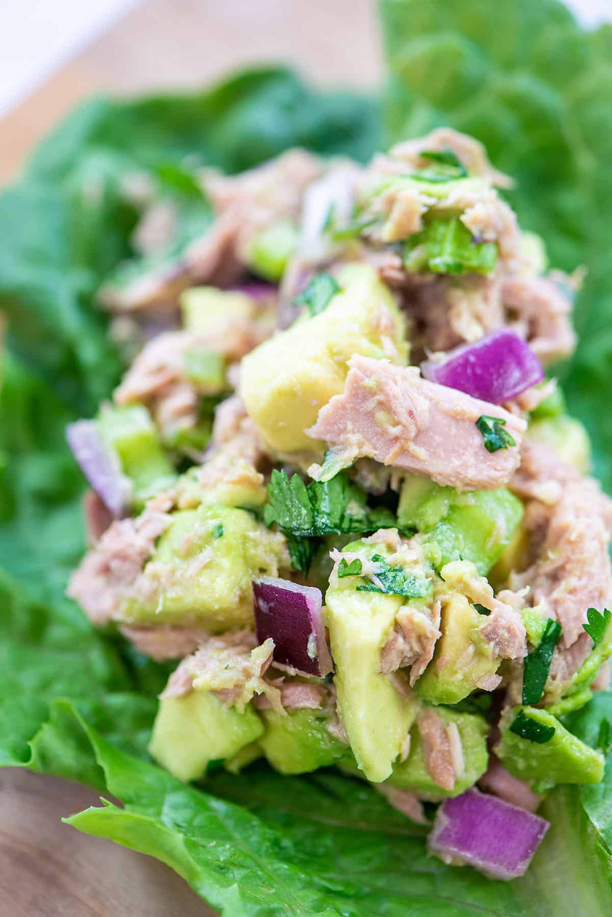 tuna salad in lettuce wrap.