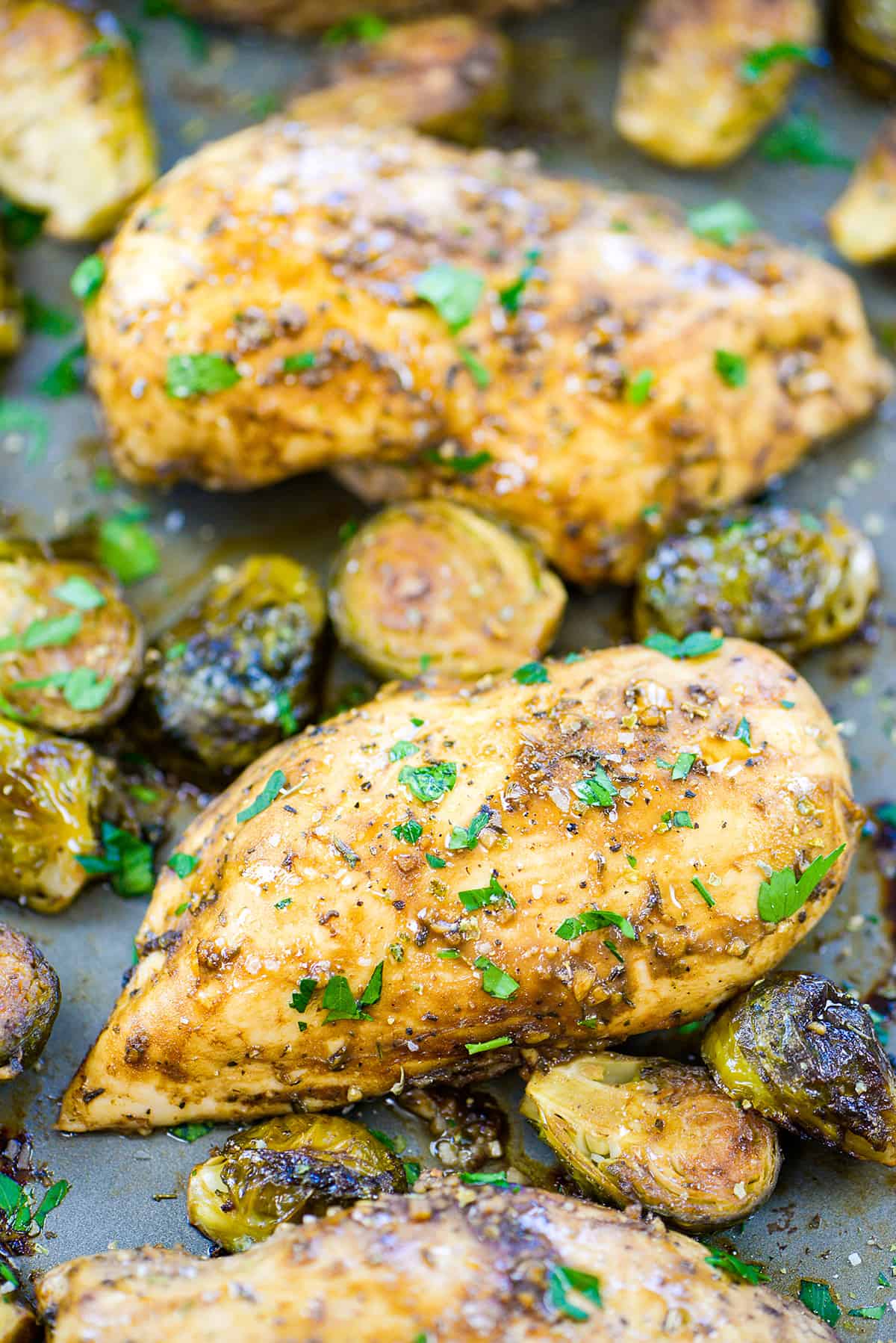 Epicure - ✨ Sheet Pan Turkey, Crispy Brussels Sprouts & Squash ✨  Ingredients 1 1⁄2 lbs (675 g) turkey breasts, about 3 or 4 1 tbsp oil 4  tbsp Holiday Seasoning, divided