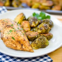 Sheet pan chicken and Brussels sprouts on white plate.