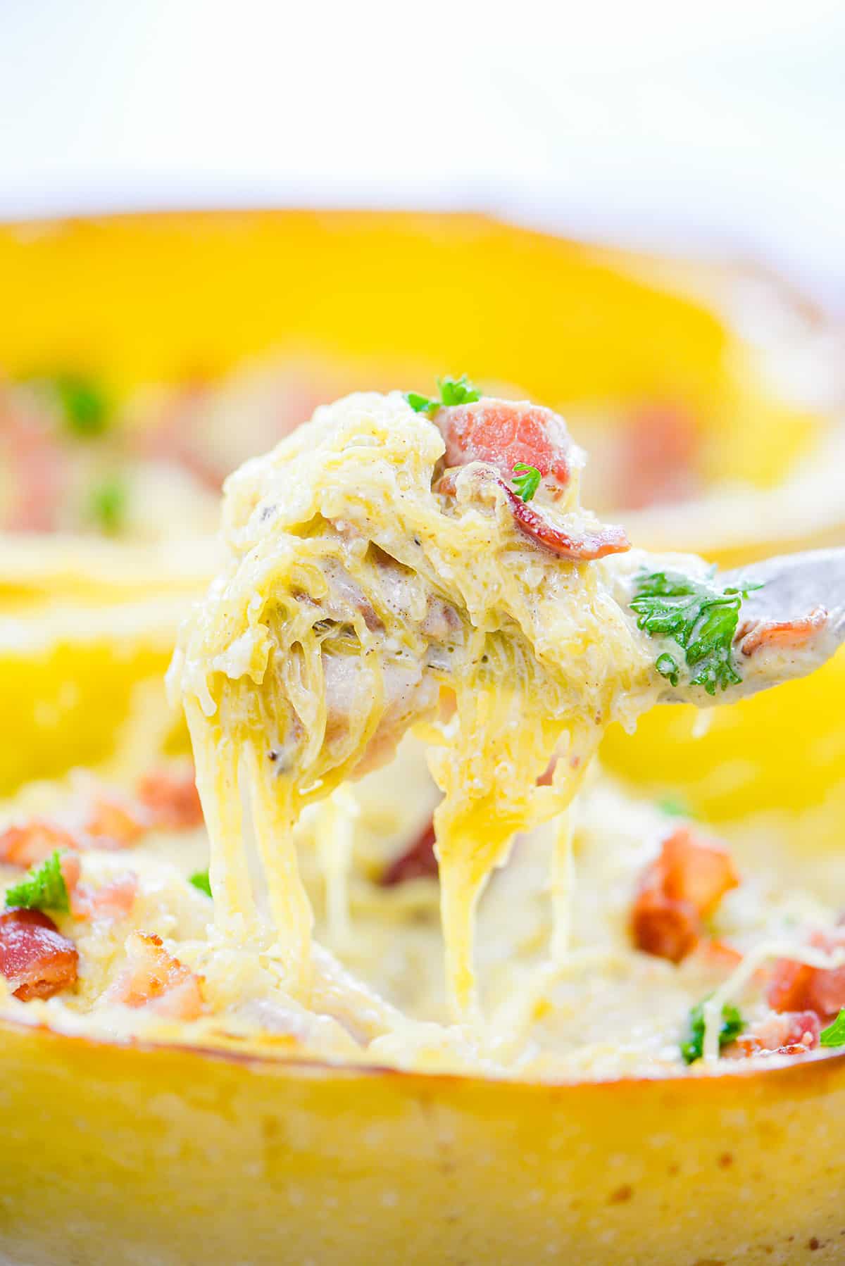 Fork full of spaghetti squash carbonara.