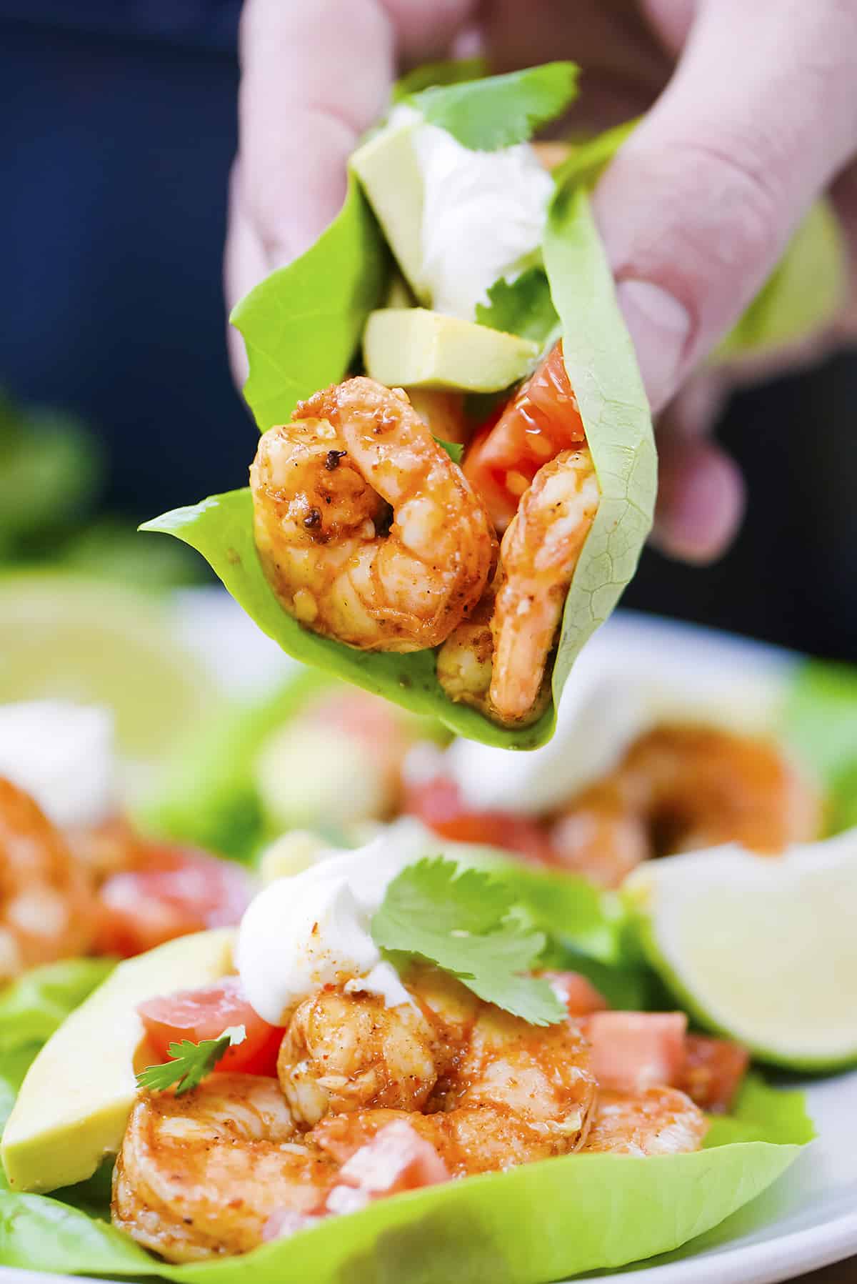 Hand holding a shrimp lettuce wrap.