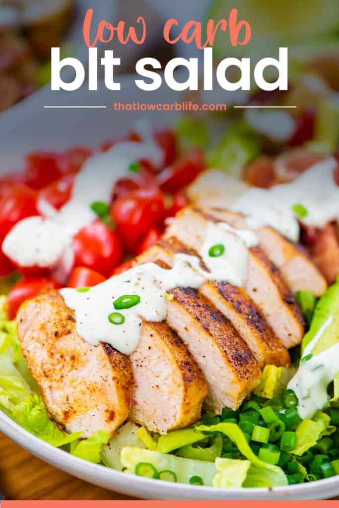 Sliced chicken drizzled with dressing on bed of salad greens.