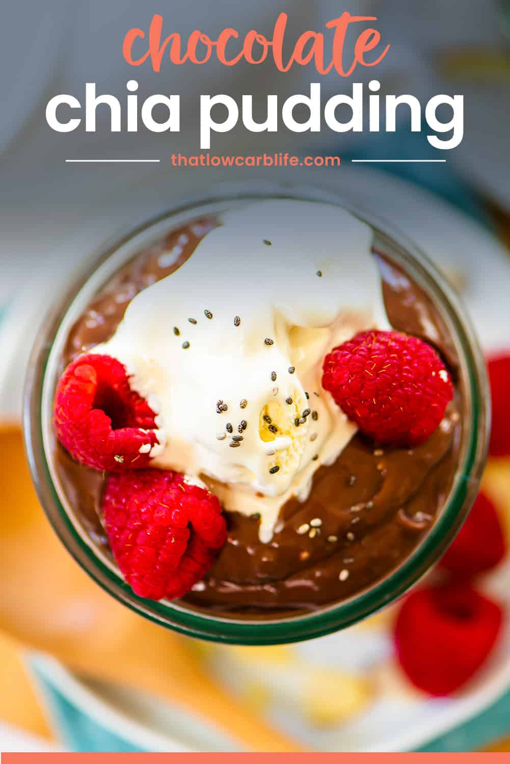 Chocolate Keto Chia Pudding | That Low Carb Life