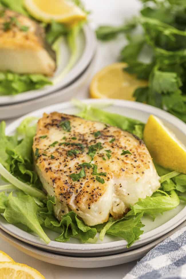 Pan Seared Halibut Steaks | That Low Carb Life