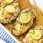 Lemon butter chicken in white baking dish.