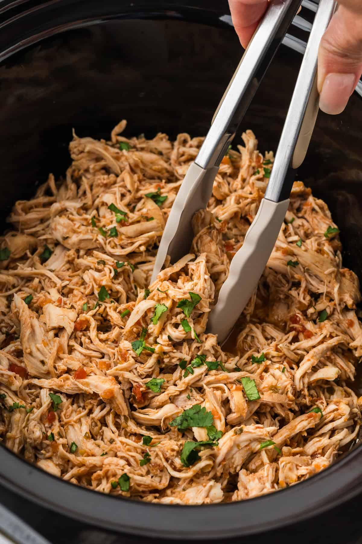 Shredded chicken in crockpot.