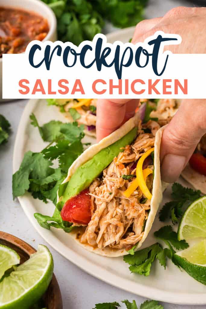 Hand holding a taco over a plate.