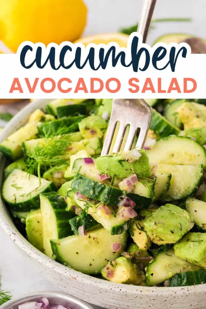 Fork full of avocado cucumber salad recipe.