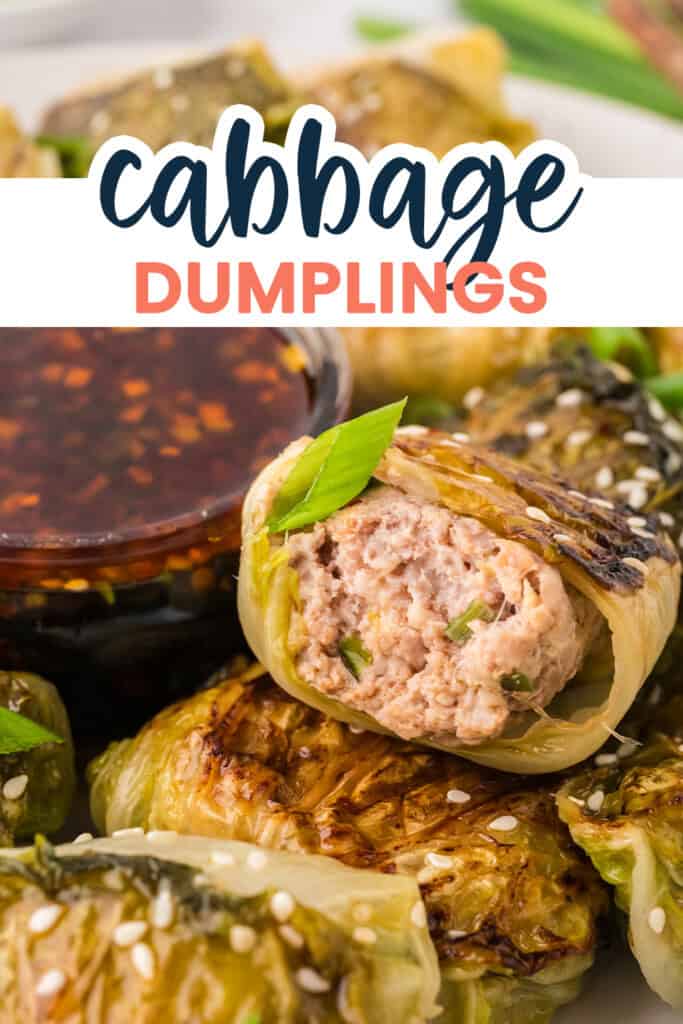 Inside of pork cabbage dumpling.
