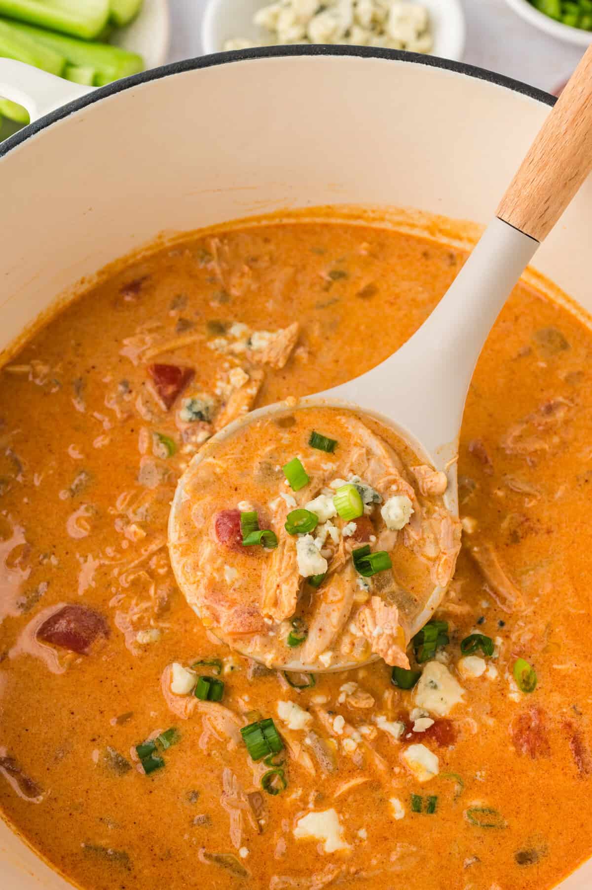 Ladle over pot of buffalo chicken soup recipe.